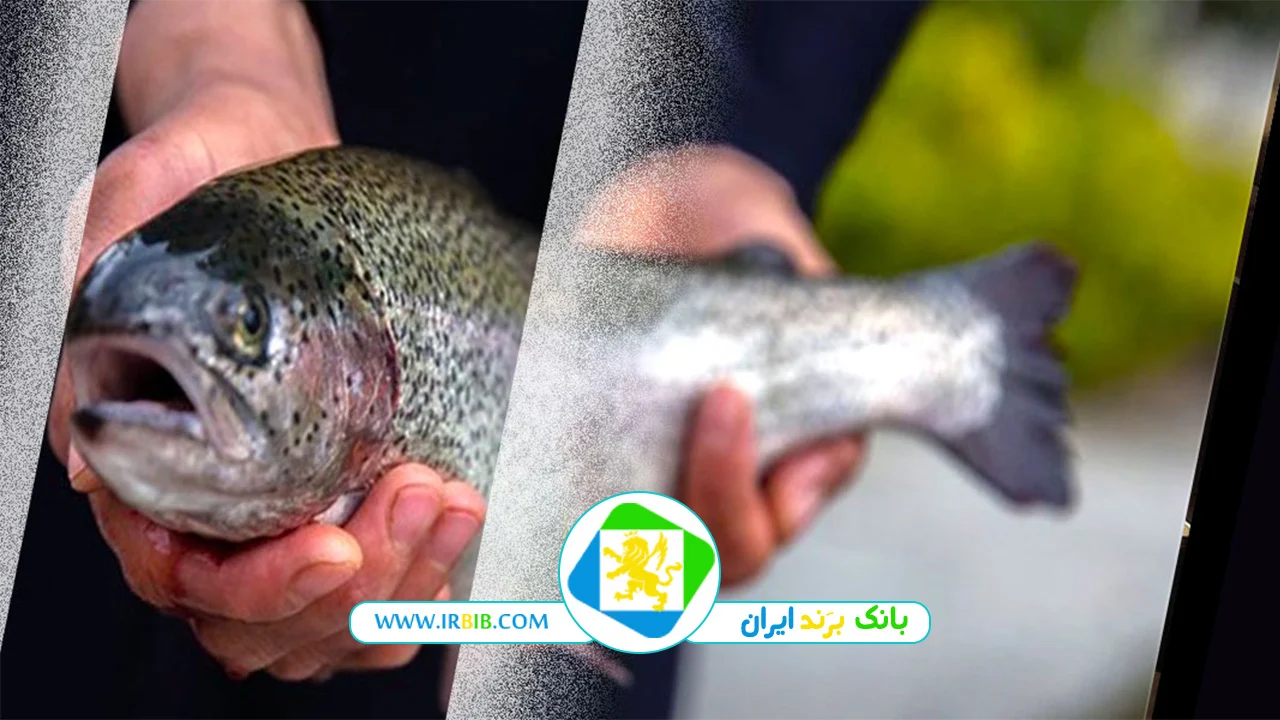 خوراک آبزیان پرشین فید