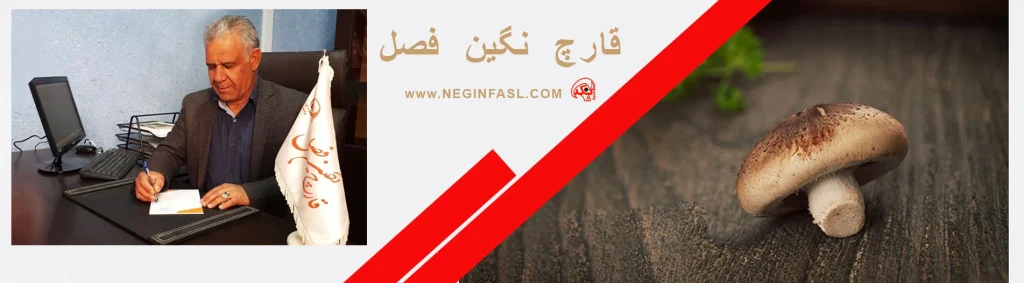 نگین فصل