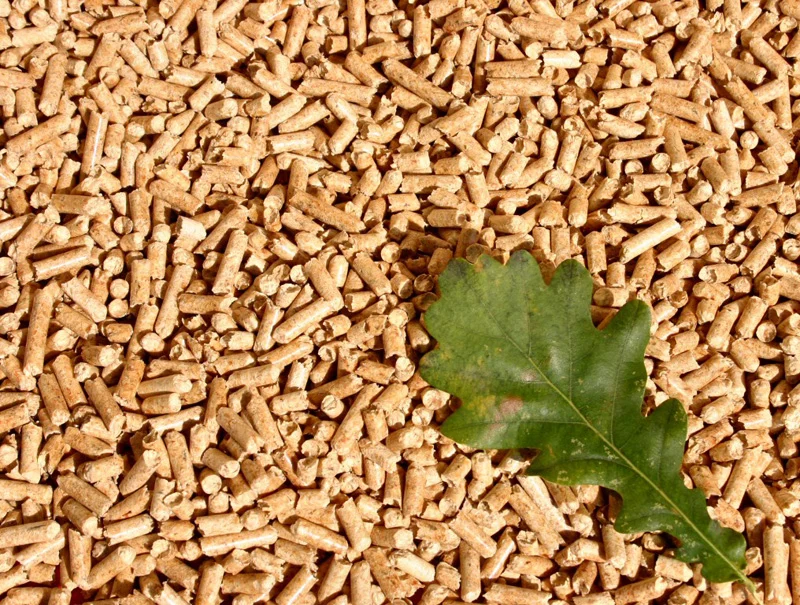 شرکت گروه بتا (بهسان تغذیه آریان)