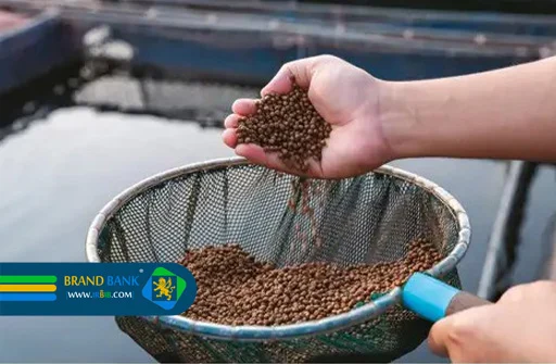 مجموعه تولید خوراک آبزیان دردانه فلارد