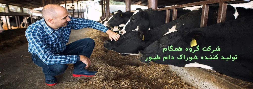 شرکت گروه همگام | خوراک دام و طیور