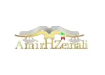 دکتر امیر حمزه زینالی