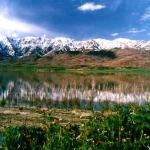 دکوراسیون داخلی شهرکرد