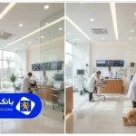 لیست 10 تا از بهترین کلینیک دامپزشکی در تهران + تلفن + آدرس