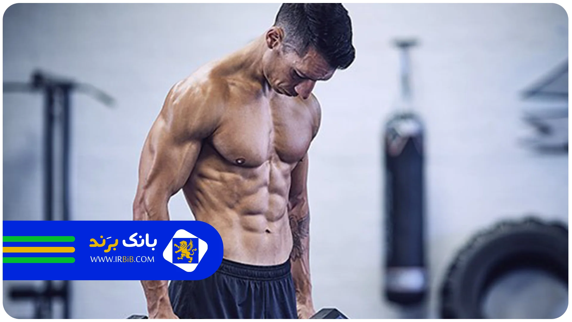 characteristics-of-a-good-gym